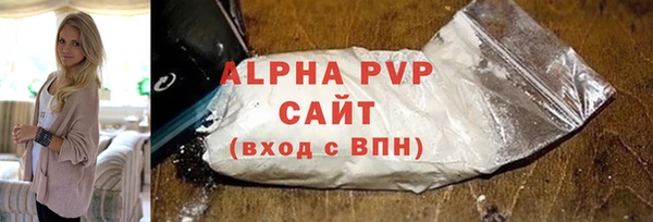 индика Бронницы