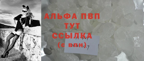 mdpv Бородино