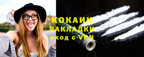 индика Бронницы