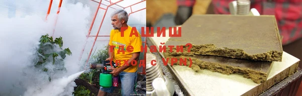 индика Бронницы