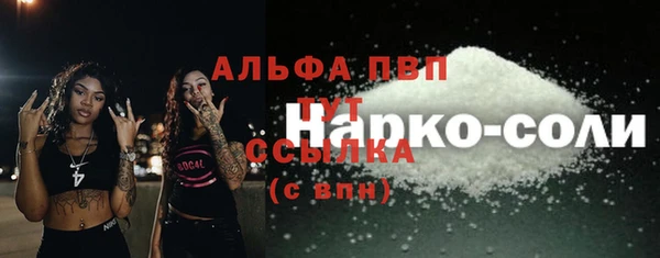 индика Бронницы