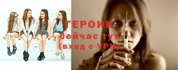 индика Бронницы