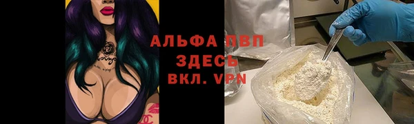 крисы Бугульма