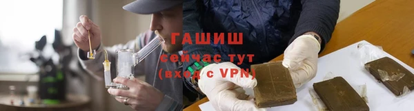 индика Бронницы