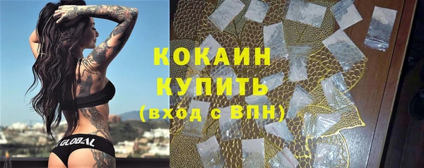 индика Бронницы