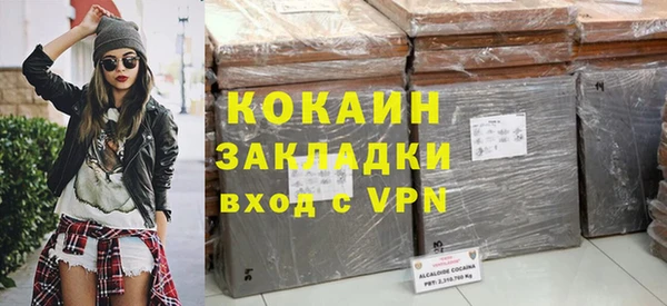 индика Бронницы