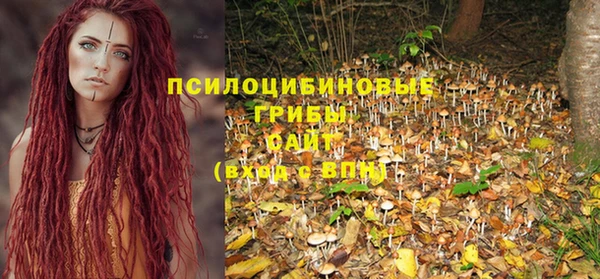 крисы Бугульма