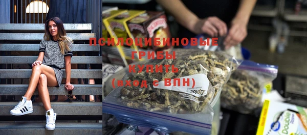 mdpv Бородино