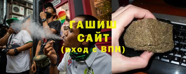индика Бронницы