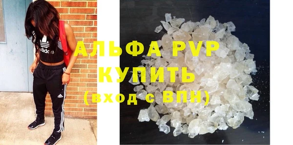 индика Бронницы