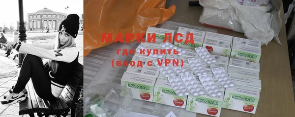 индика Бронницы